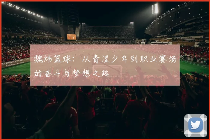 魏炜篮球：从青涩少年到职业赛场的奋斗与梦想之路