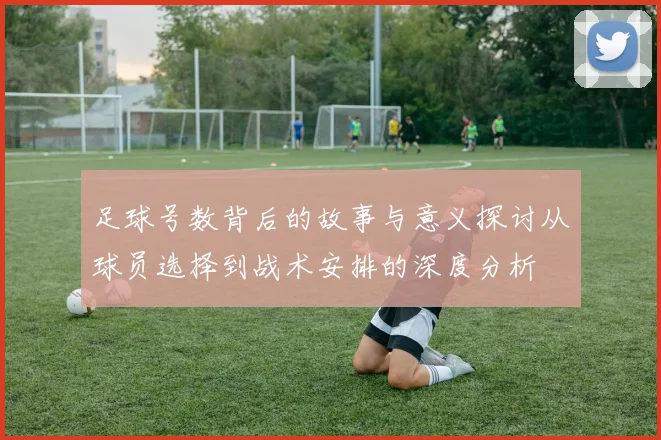 足球号数背后的故事与意义探讨从球员选择到战术安排的深度分析