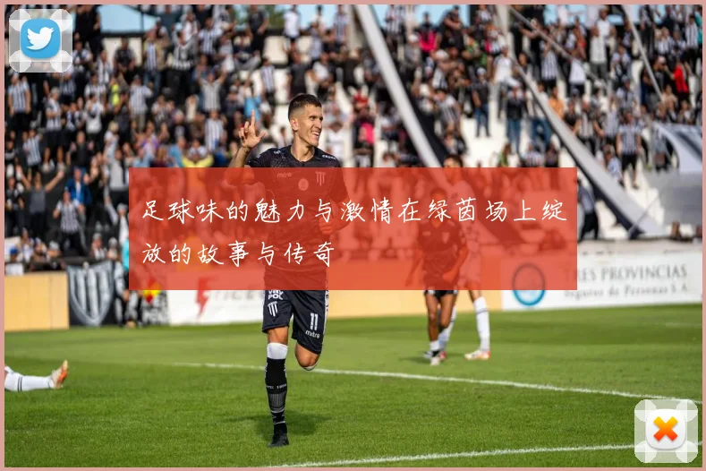 足球味的魅力与激情在绿茵场上绽放的故事与传奇